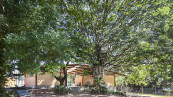 Shieh_escola_waldorf_FernandoStankuns (1)