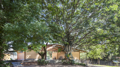 Shieh_escola_waldorf_FernandoStankuns (1)