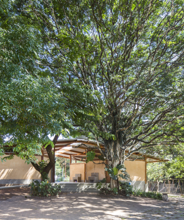 Shieh_escola_waldorf_FernandoStankuns (1)